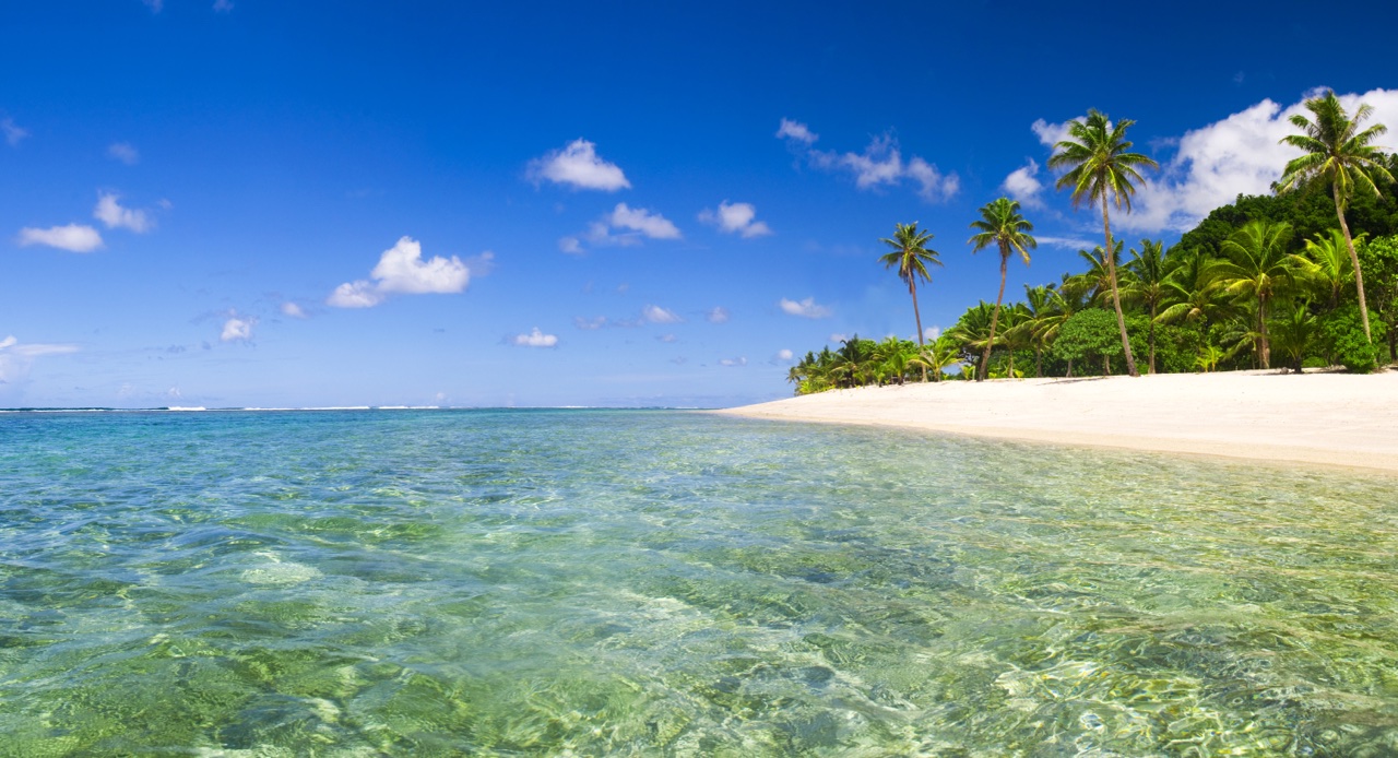 Palmeninsel mit weißem Strand und türkisfarbenem Meer